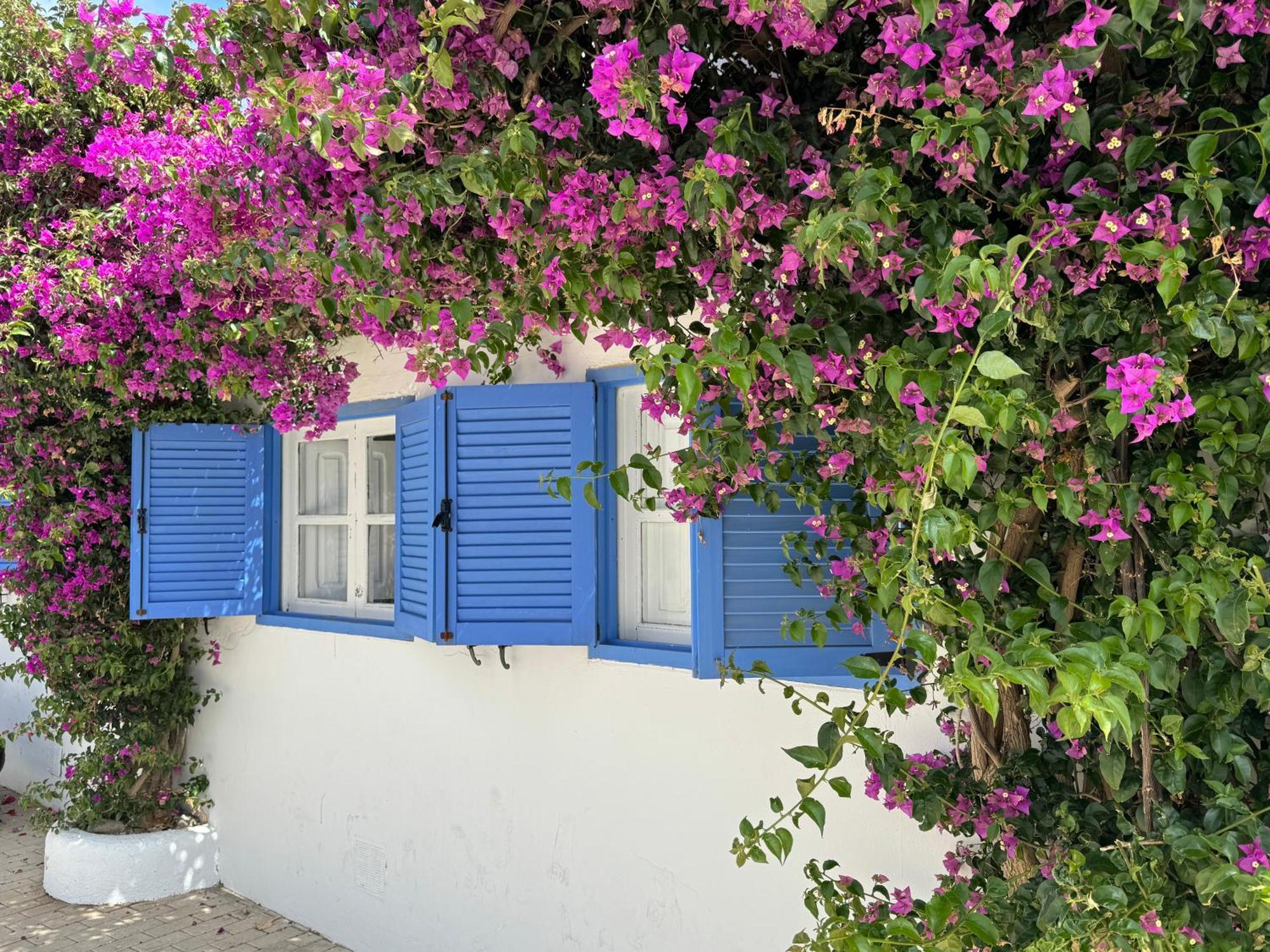 Casa Mellis Aguamarga Leilighet Agua Amarga  Eksteriør bilde