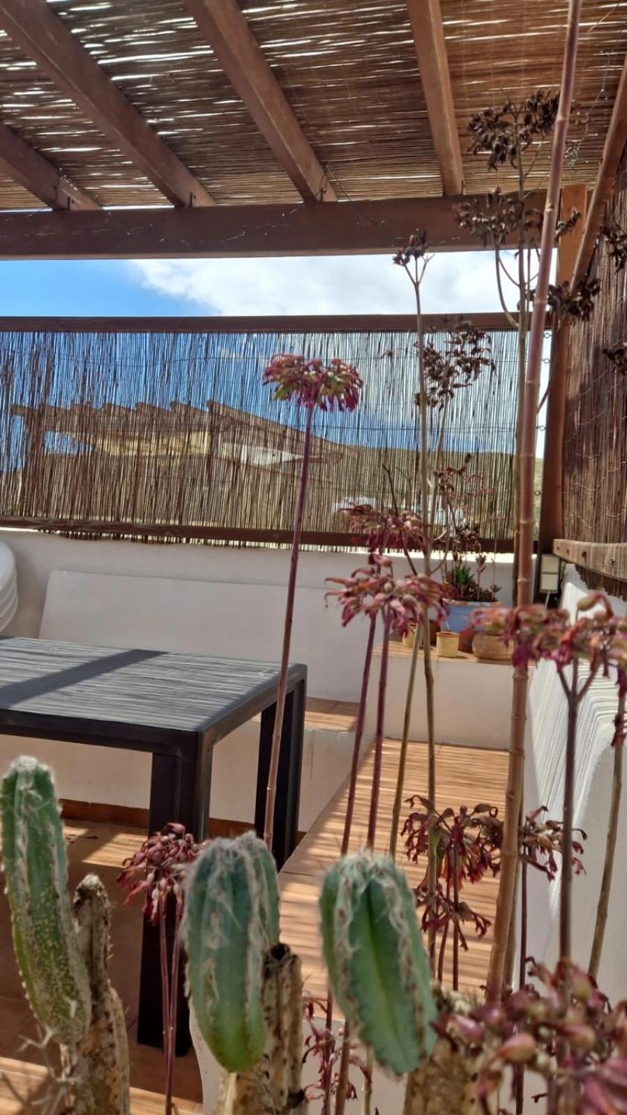 Casa Mellis Aguamarga Leilighet Agua Amarga  Eksteriør bilde